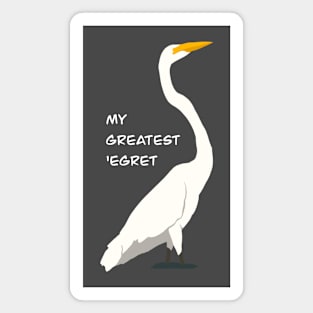 My Greatest ‘Egret Magnet